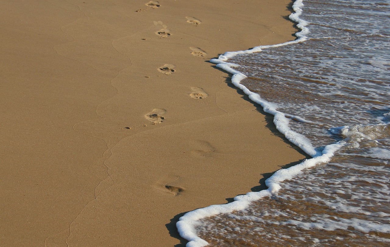 Strand og vand ved Greve